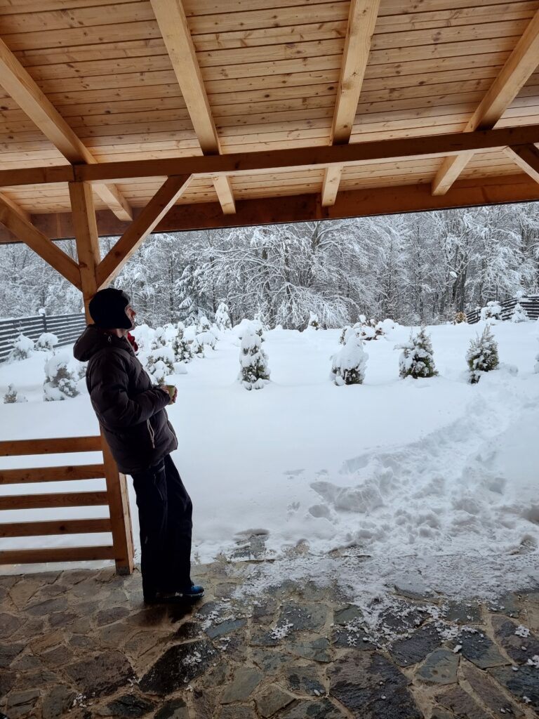 Furtuna Family Villa terasa